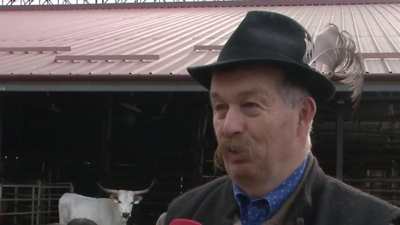 Napindító – Parasztakadémia