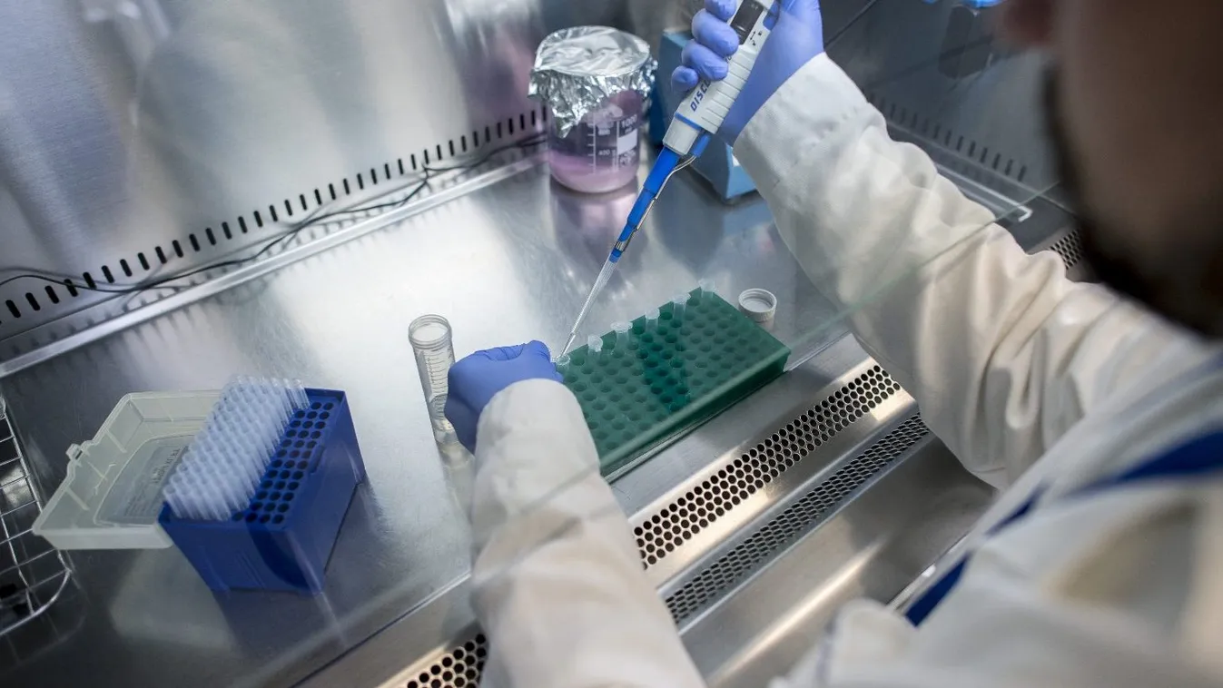 Jakab Ferenc: Most nem a pezsgőbontás, hanem a felkészülés ideje van