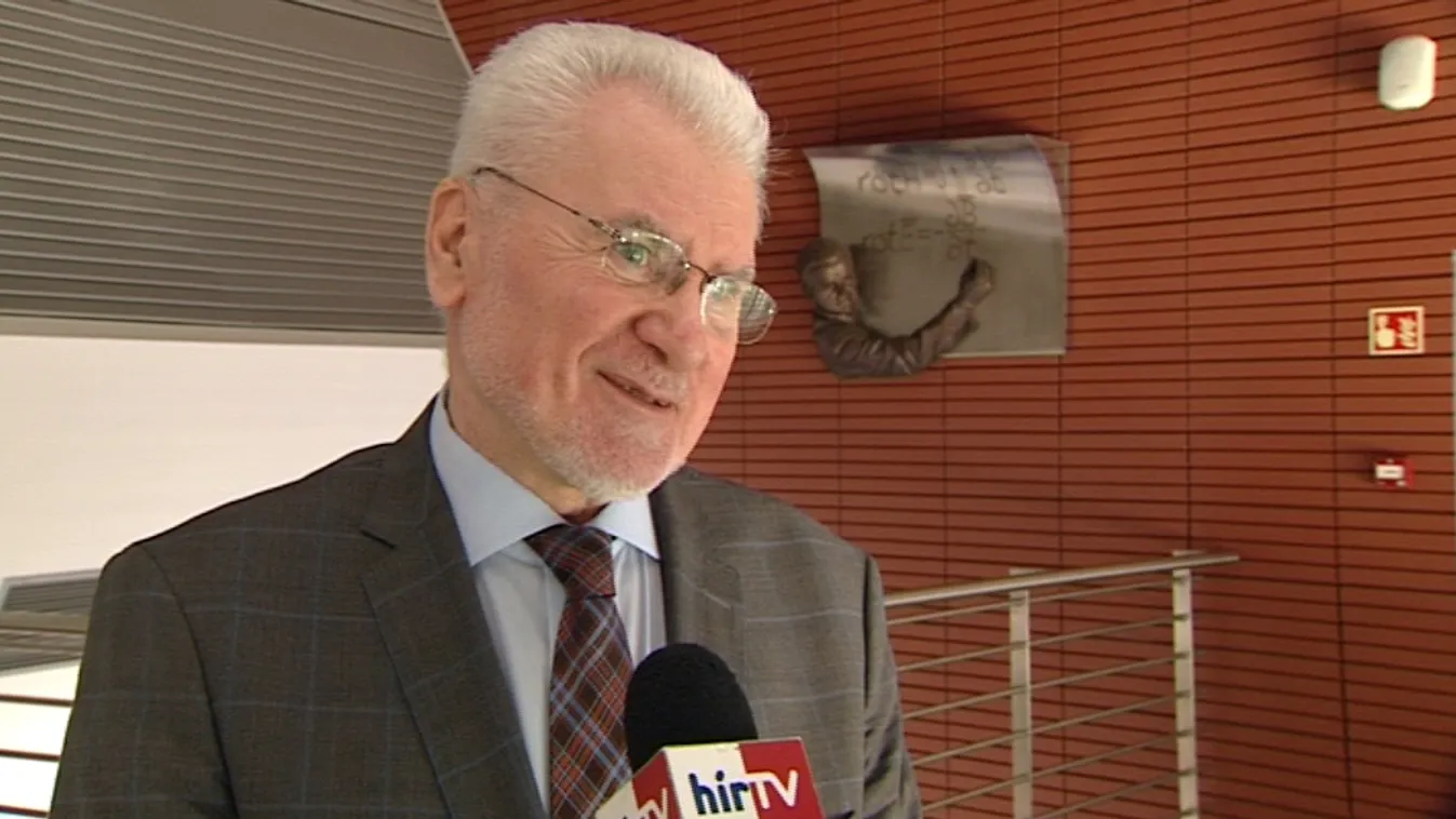 Pálinkás József: Sas nem kapkod legyek után