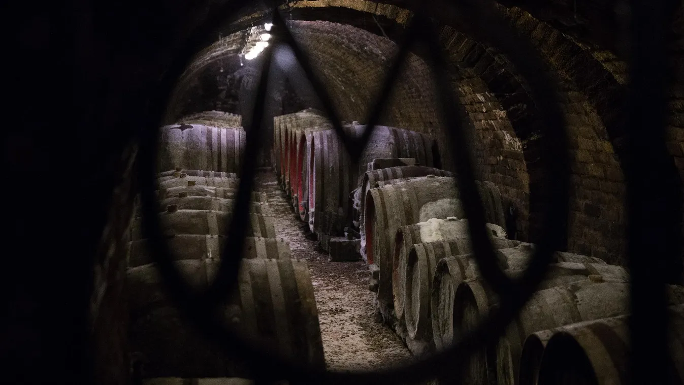 Mustgáz ölt Kékcsén