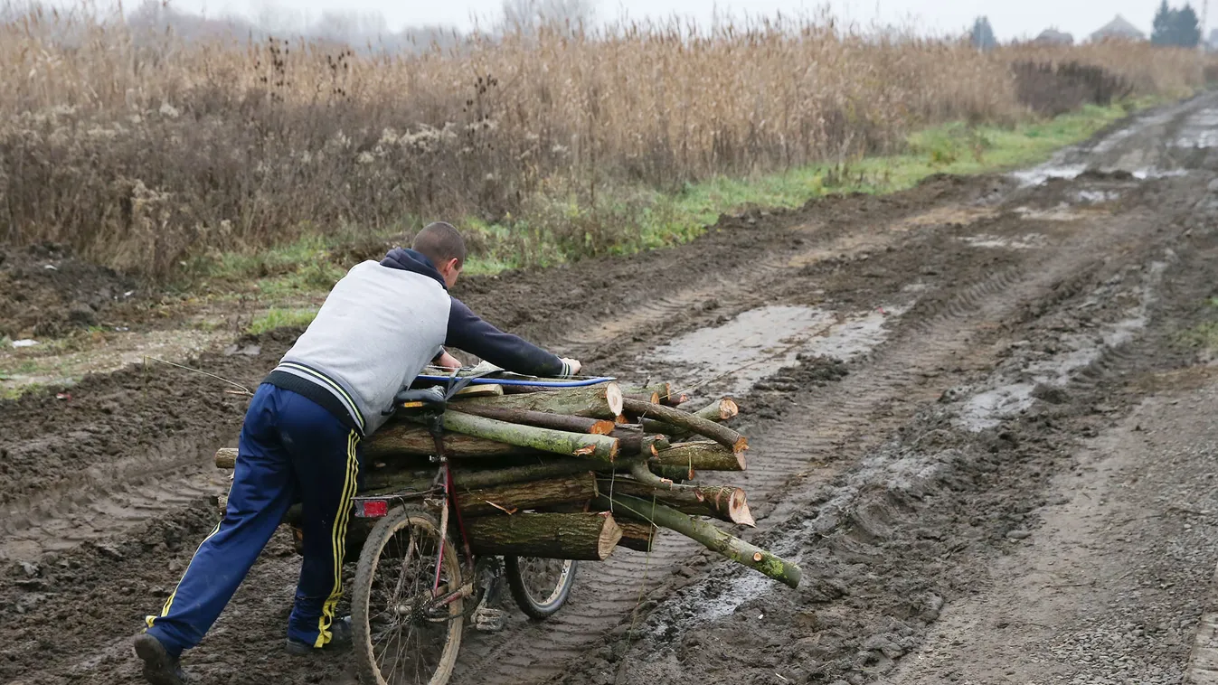 Óriási a haszon az illegális fabizniszen