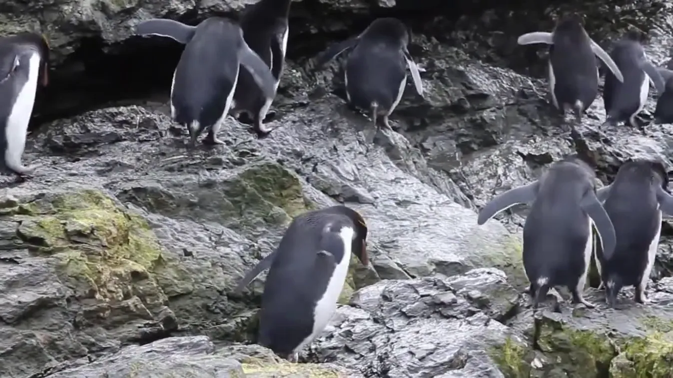 Radar - Jégkorszak Nyíregyházán