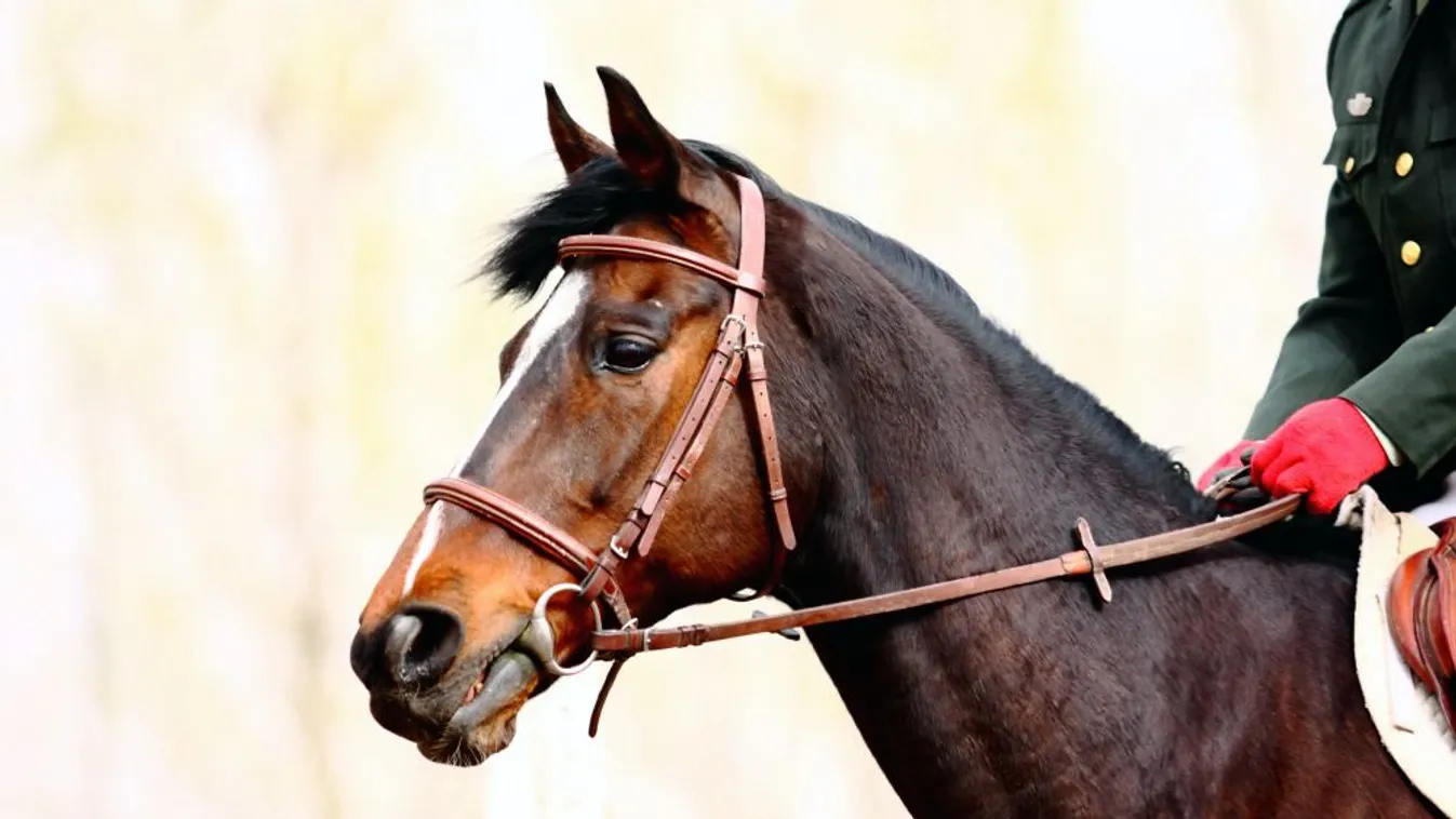 Párizsig marad a lovaglás az öttusában
