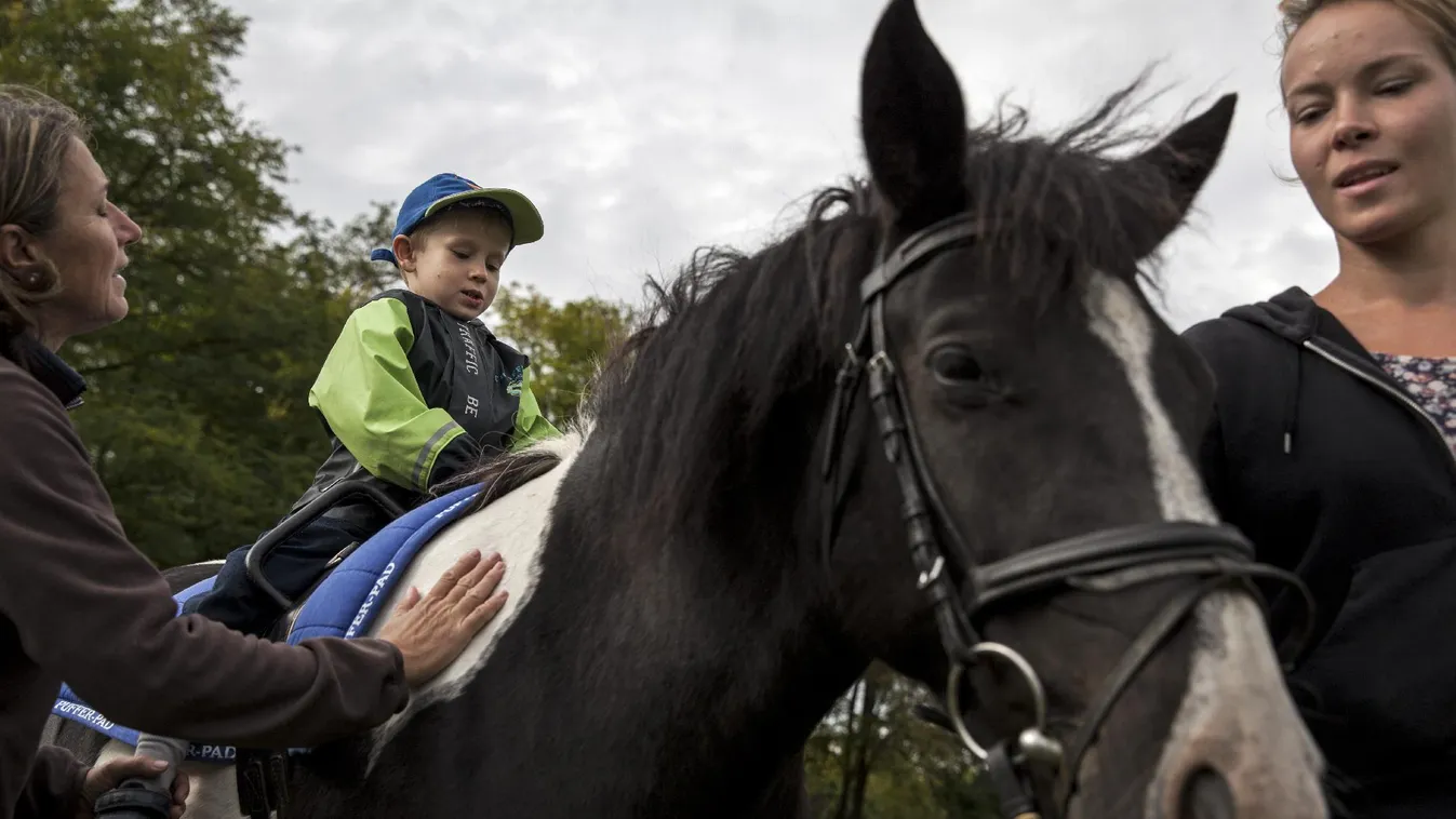 Lóháton kezdődhet a gyógyulás