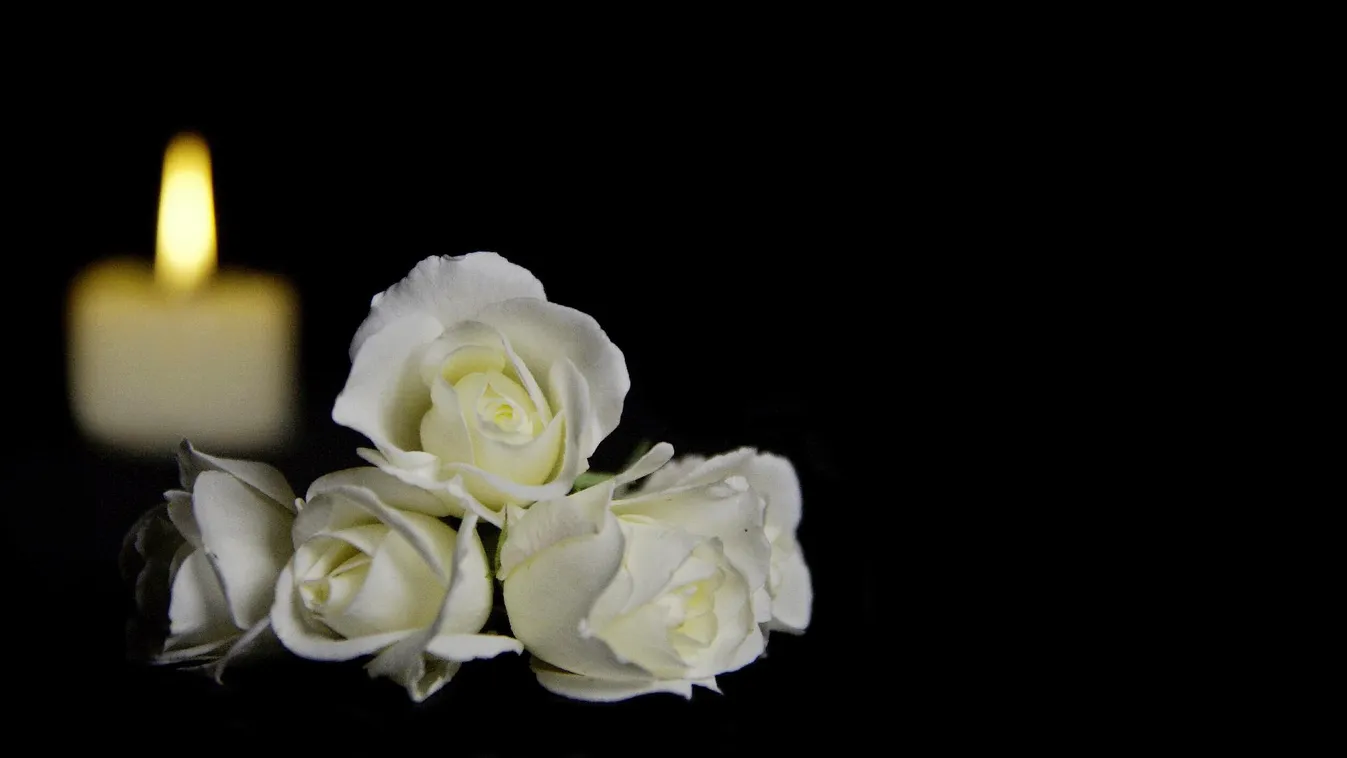 Két halálos áldozata van egy frontális ütközésnek Vas megyében