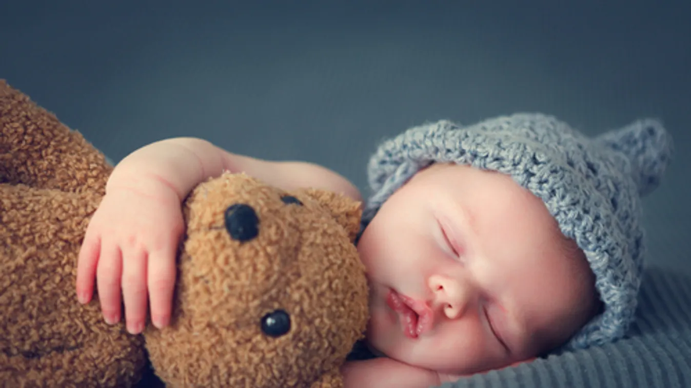 Nőtt a babaváró támogatás iránti érdeklődés a Duna House adatai szerint