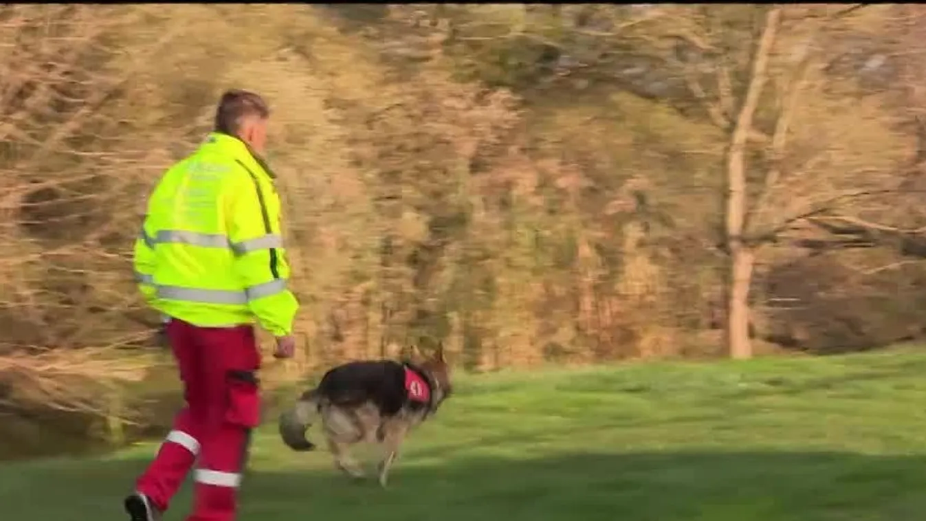 Radar - Mentőkutya bevetésen
