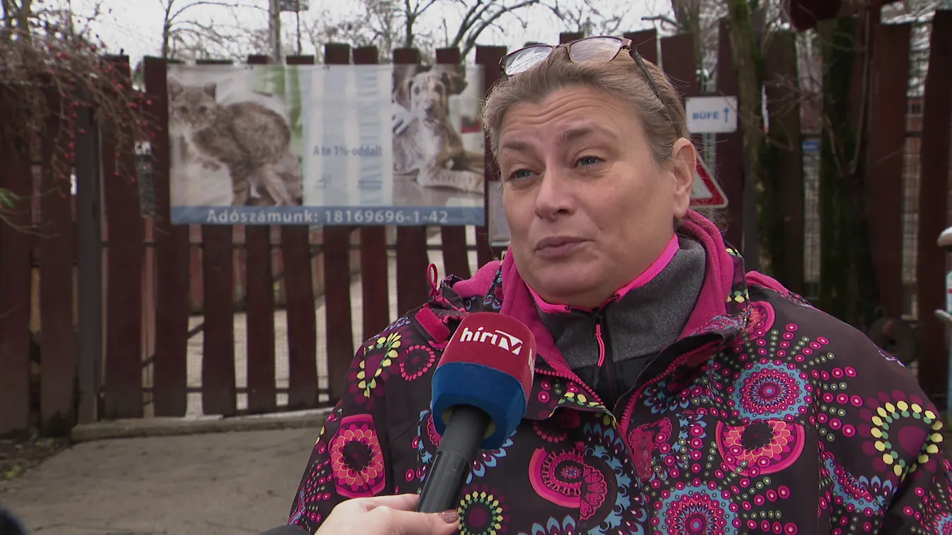 A kemény mínuszokban még jobban vigyázni kell a házikedvencekre + videó