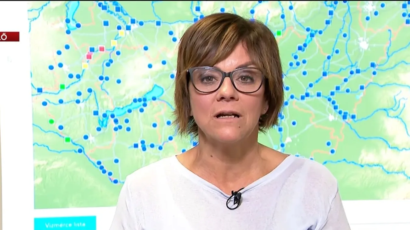 A Duna Bajánál és Mohácsnál tetőzik + videó