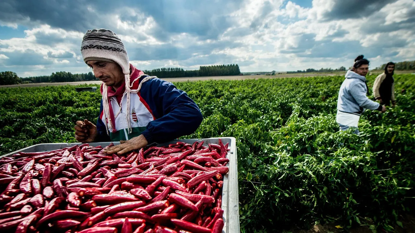 Echte Ungarische: komolyan, mi is az a hungarikum?