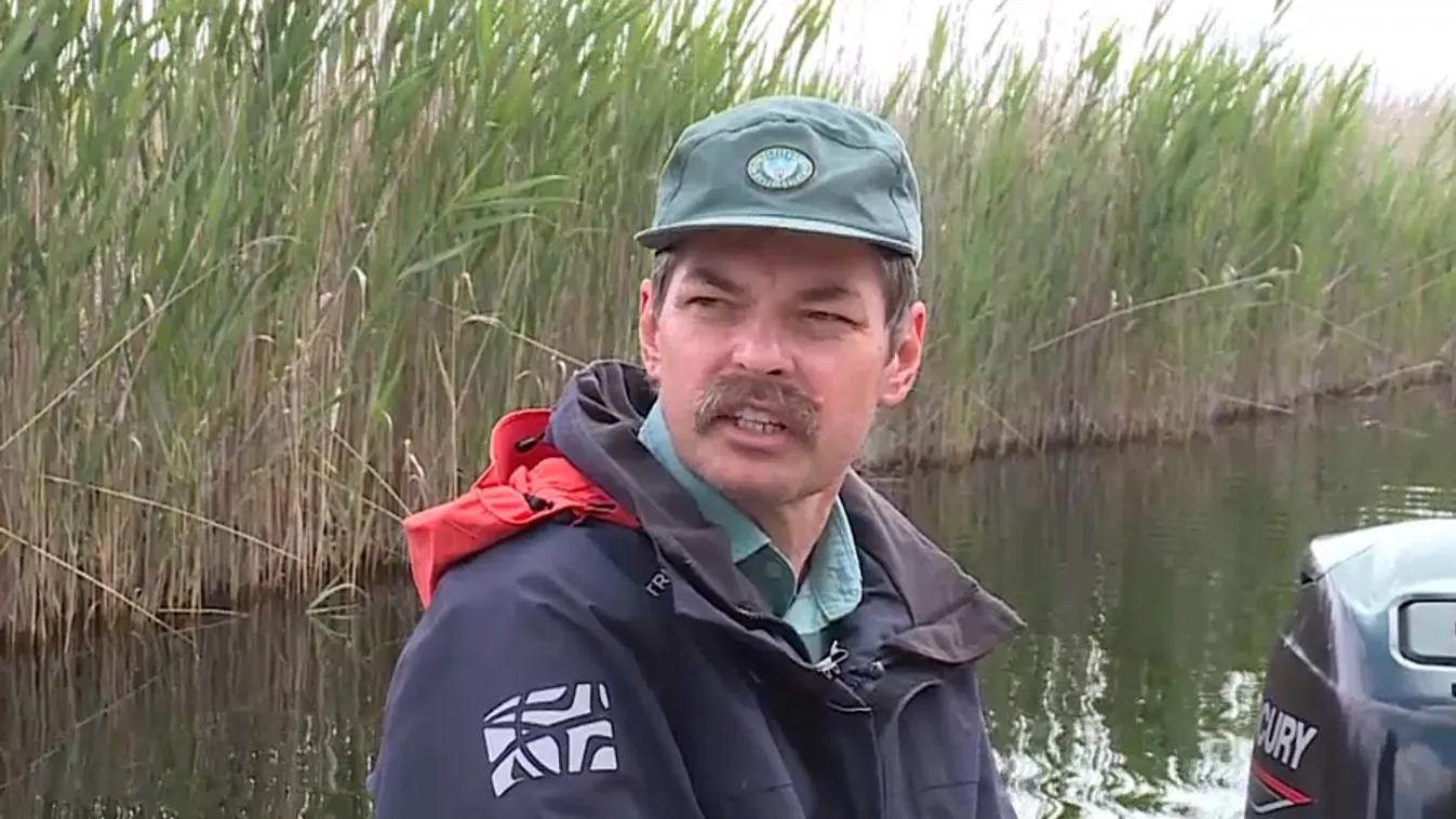 Radar – 30 centimétert emelkedett a Fertő tó vízszintje