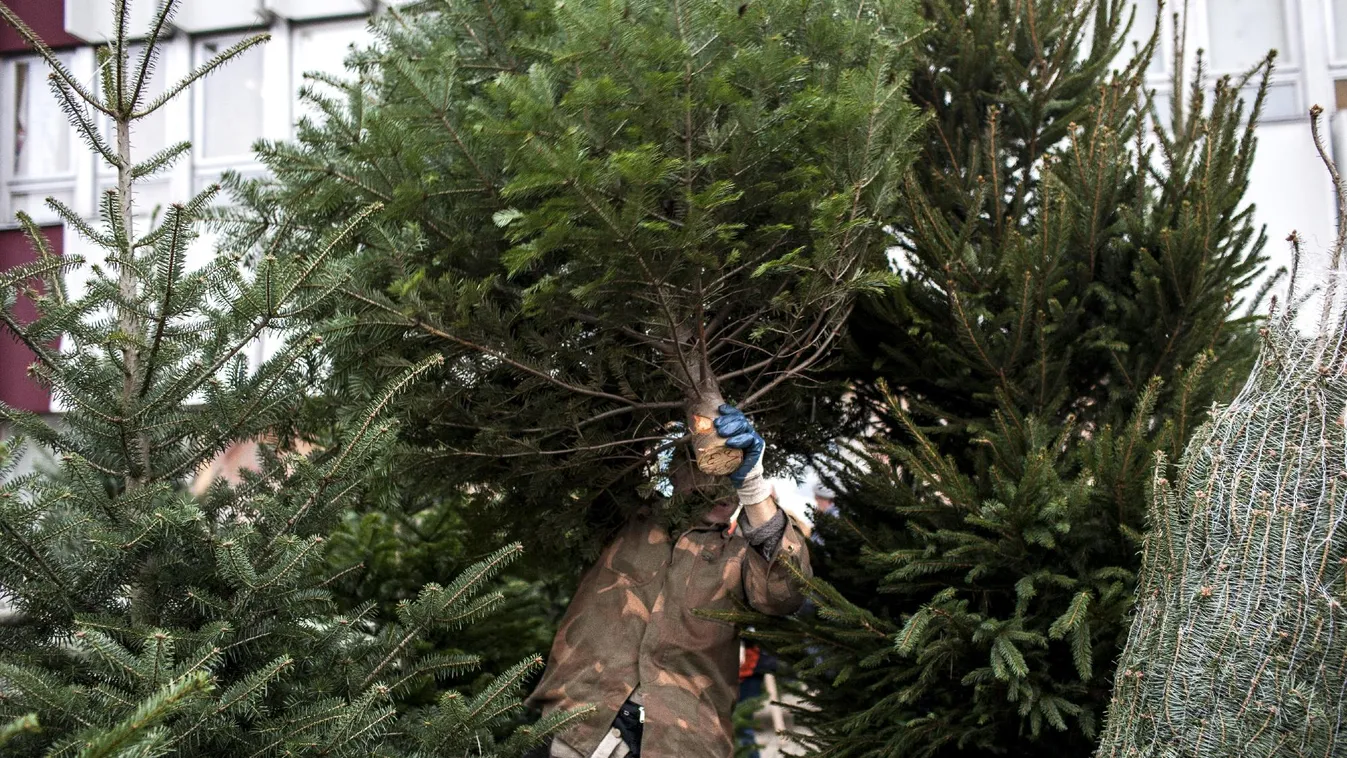 Ma van vízkereszt ünnepe