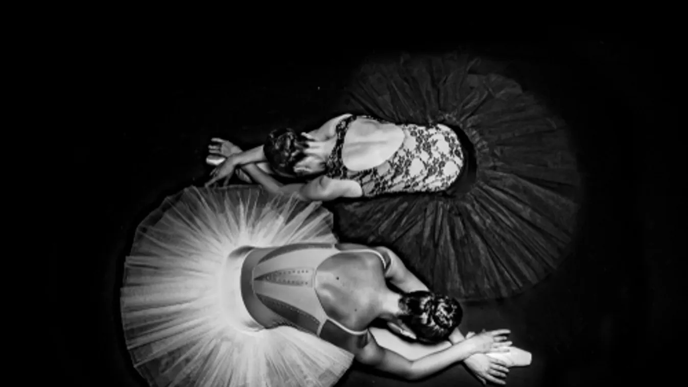 Szakmai díjakat ítélt oda a Magyar Táncművészek Szövetsége