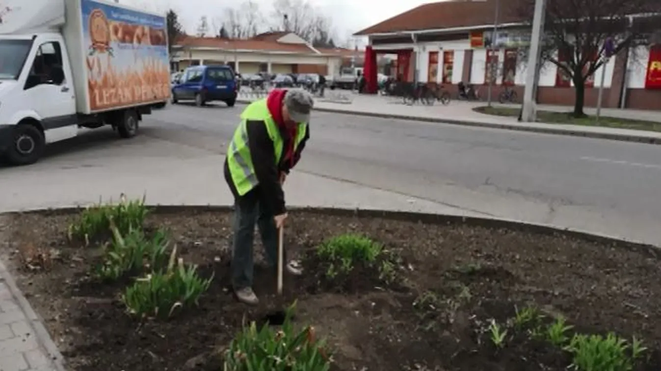 Kapálással dolgozza le büntetését az MSZP alelnöke