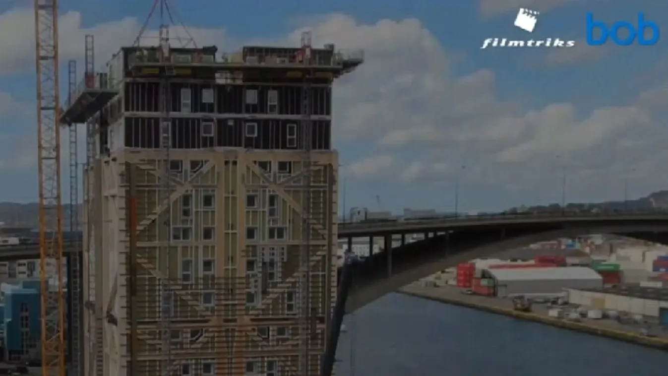 Faanyag – Felfedező