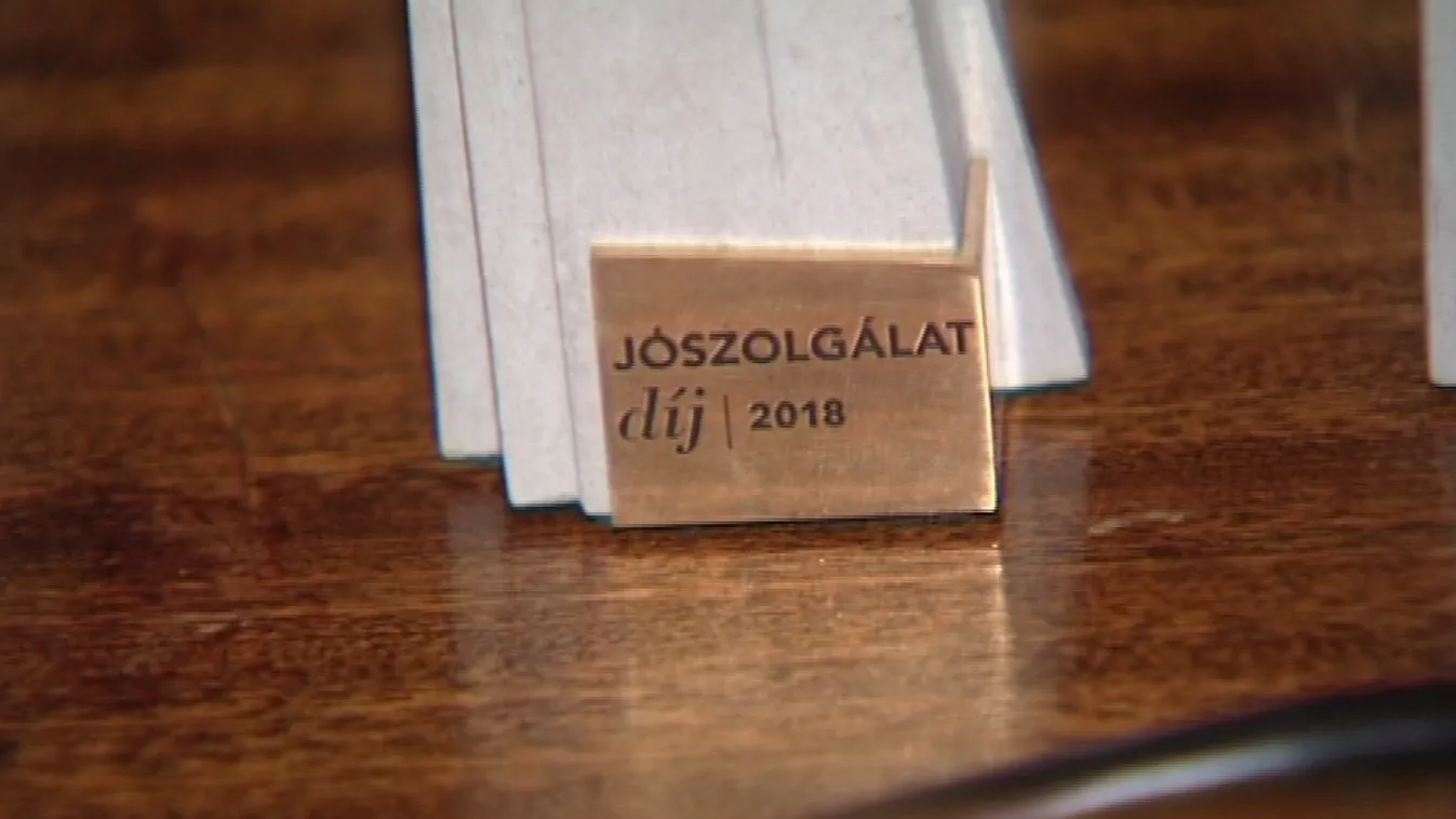 Az elesettekért végzett áldozatos munkájukért díjazták őket