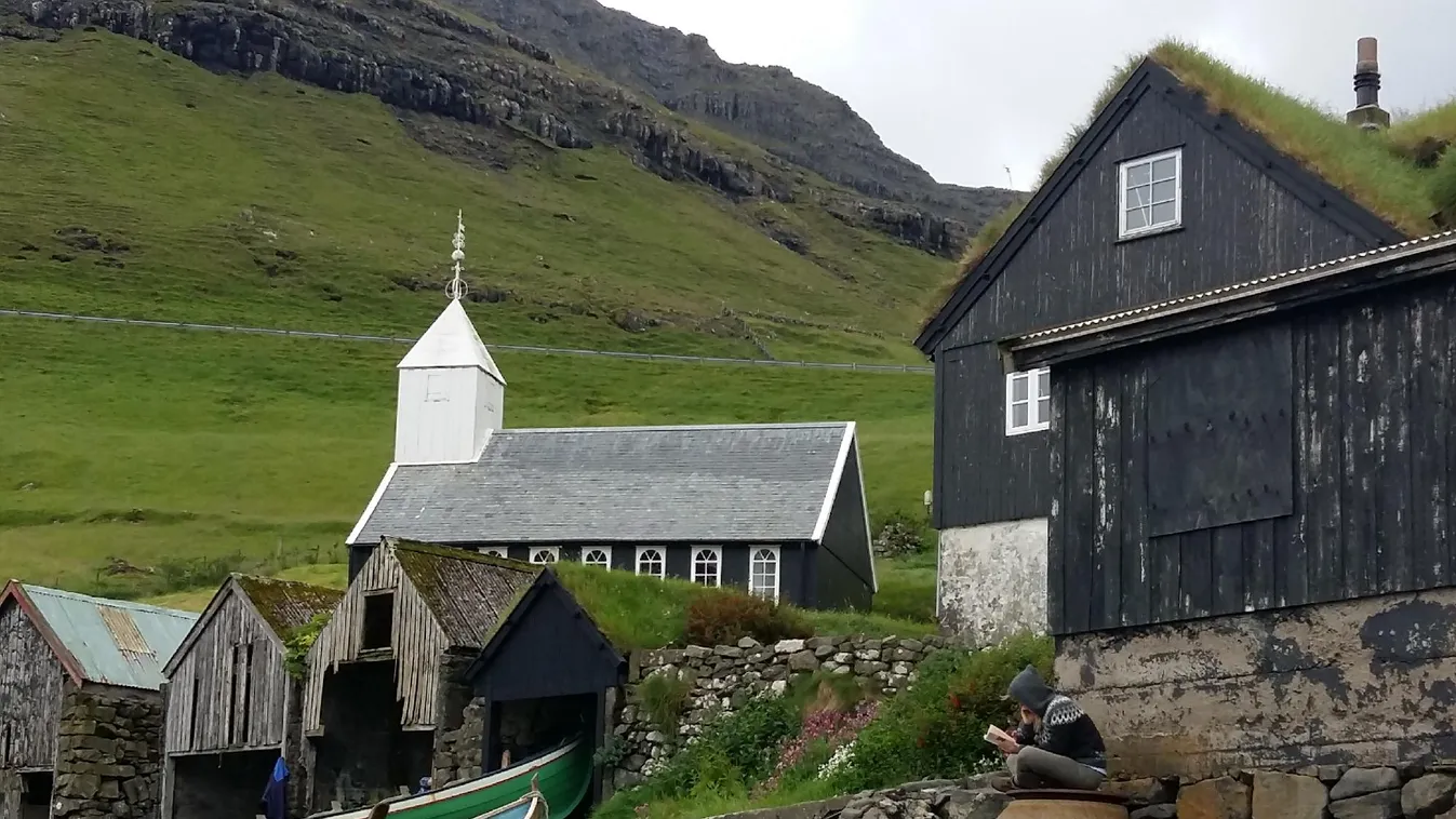 A sziget, ahol a birkák irányítanak
