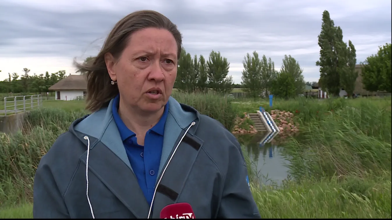 A sok éves átlagot érte el a Fertő tó vízszintje + videó