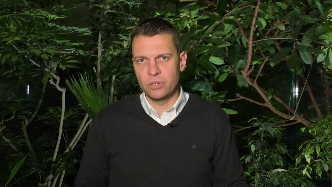 Brüsszeli bevándorlási politika