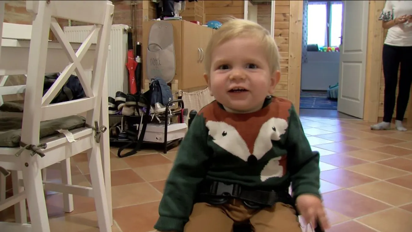 Mészáros Lőrinc és családja lehetett a jótevő, akik százmillióval segítették Zente kezelését