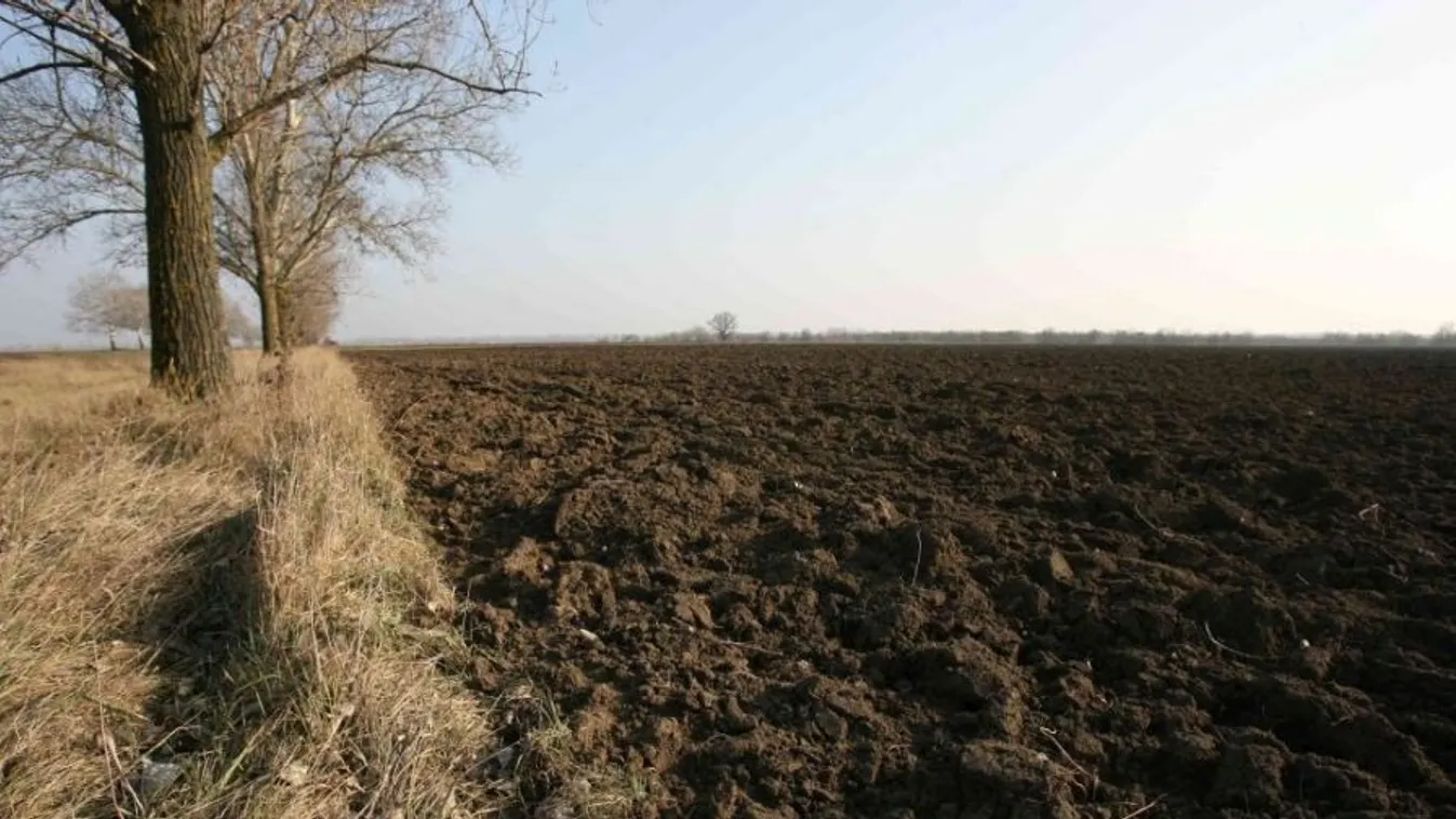 Karácsony előtt árverésre kerülnek Lázár rokonainak bérelt földjei