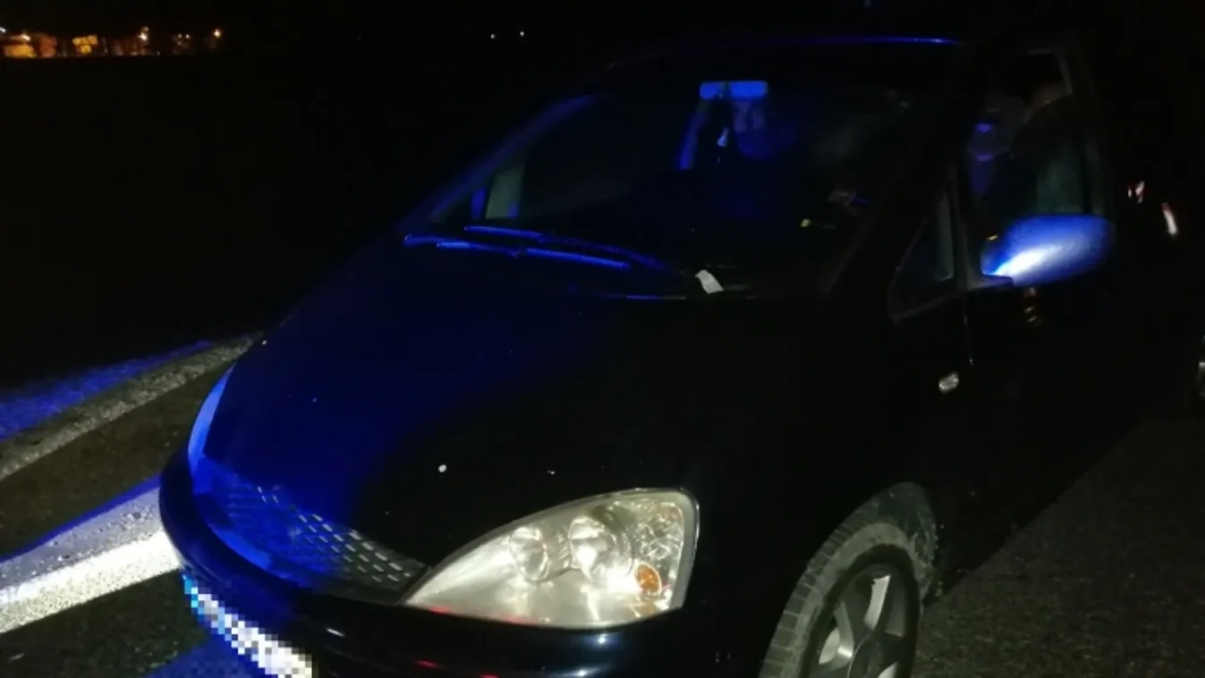 Ismét bolgár embercsempész bukott le Bogyiszlónál