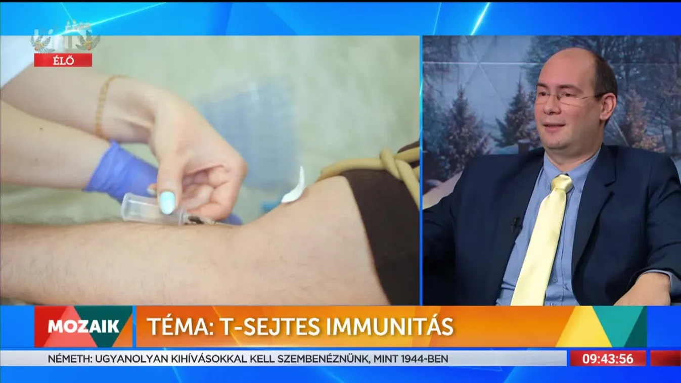 Mozaik - T-sejtes immunitás