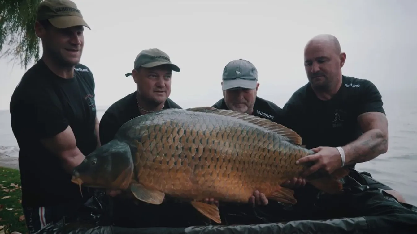 Kifogták az óriást