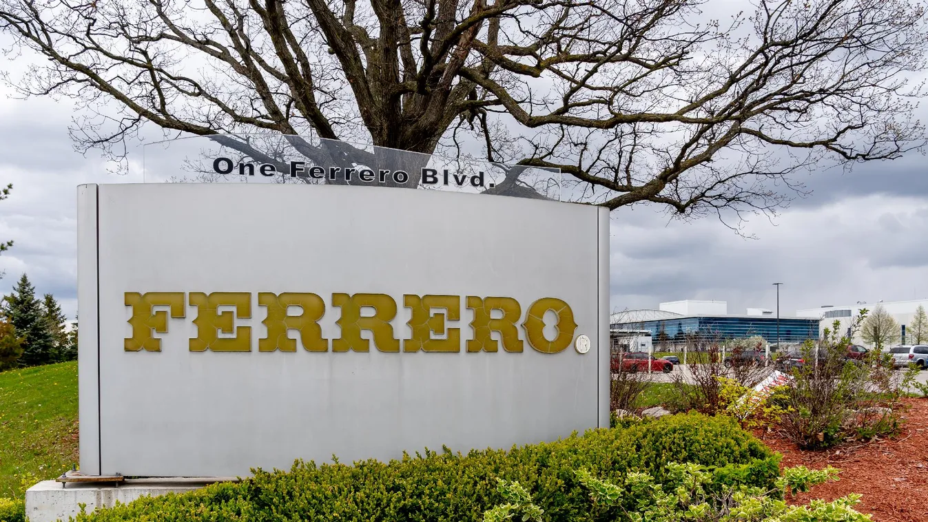 Ismét leállították a gyártást a Ferrero belgiumi üzemében