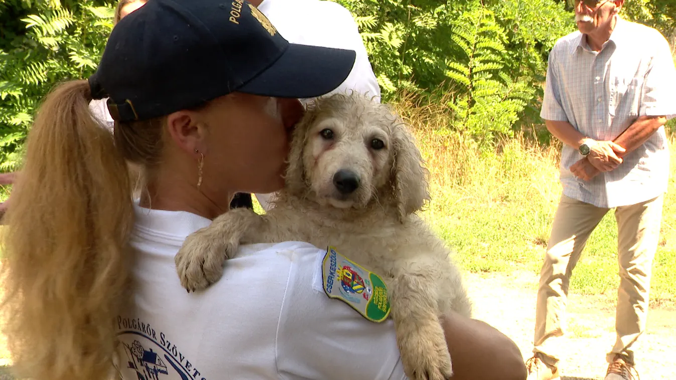 Újabb öt kuvaszkölyök került a polgárőrség szolgálatába