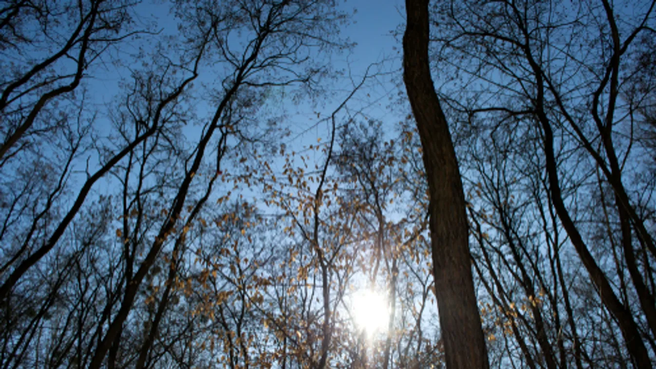 Néhol tavasziasan enyhe lesz az időjárás az első februári hétvégén