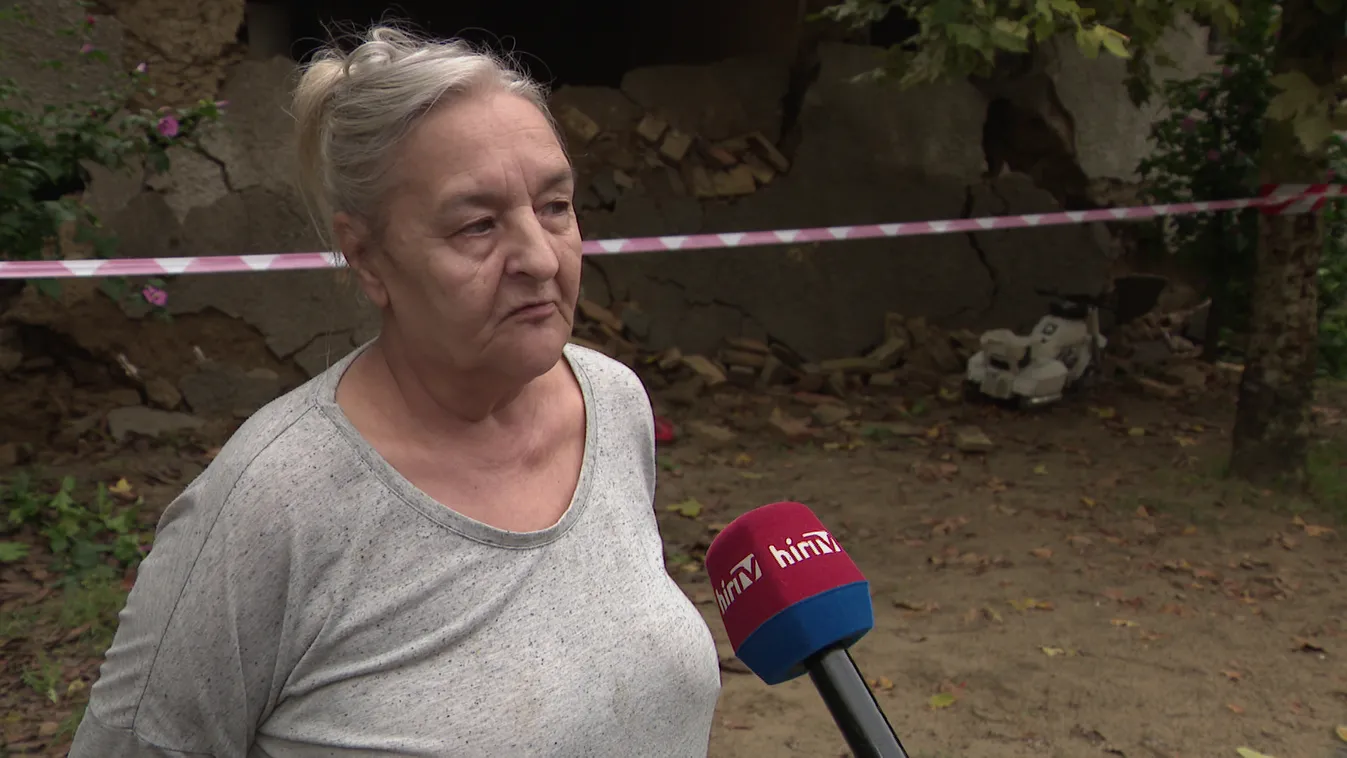 72 kutyát tartottak bezárva egy házban Pusztavámon rettenetes körülmények között