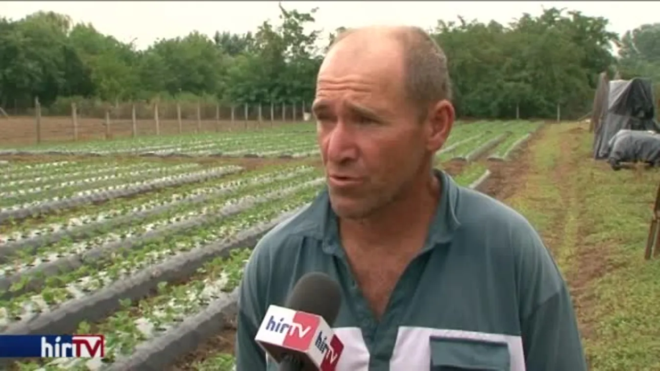 Nyolcvan méter mélységig ingyen lehet kutat fúrni