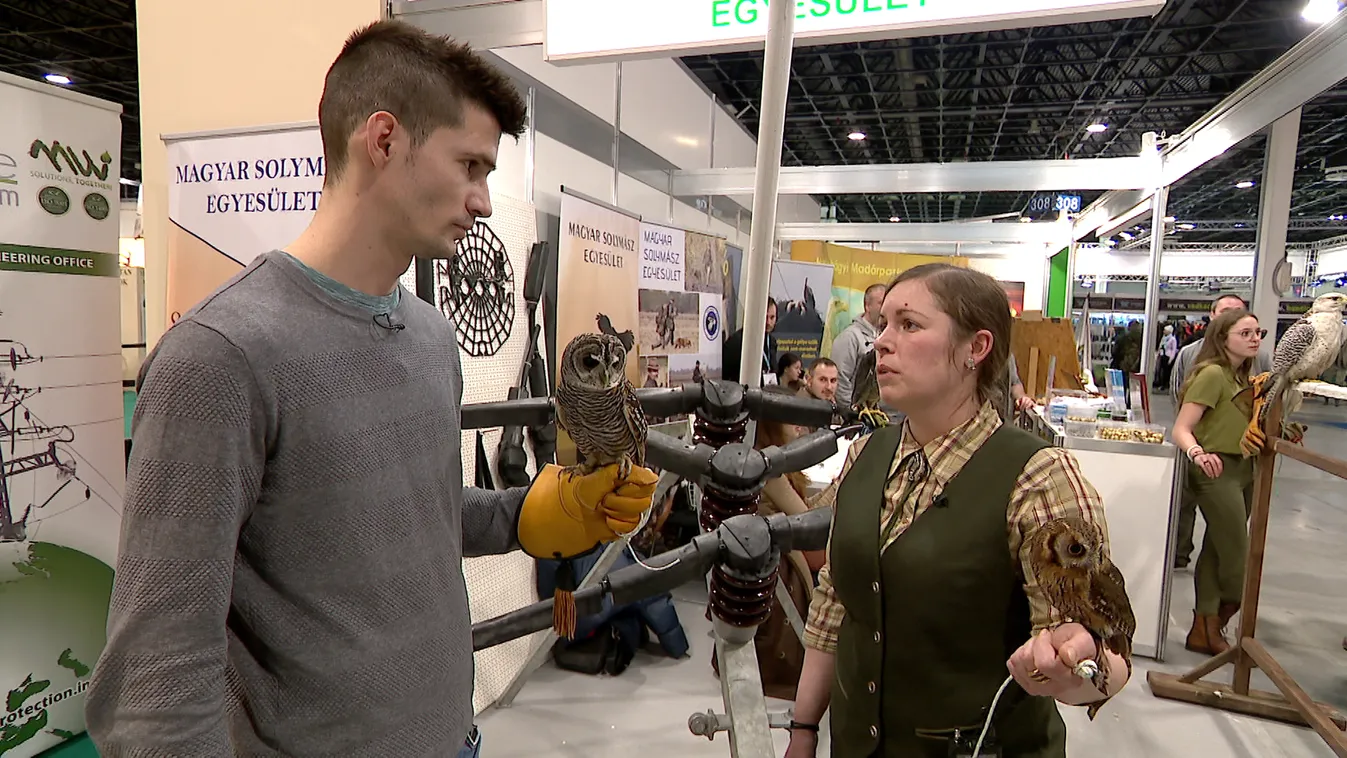 Radar - FeHoVa kiállítás