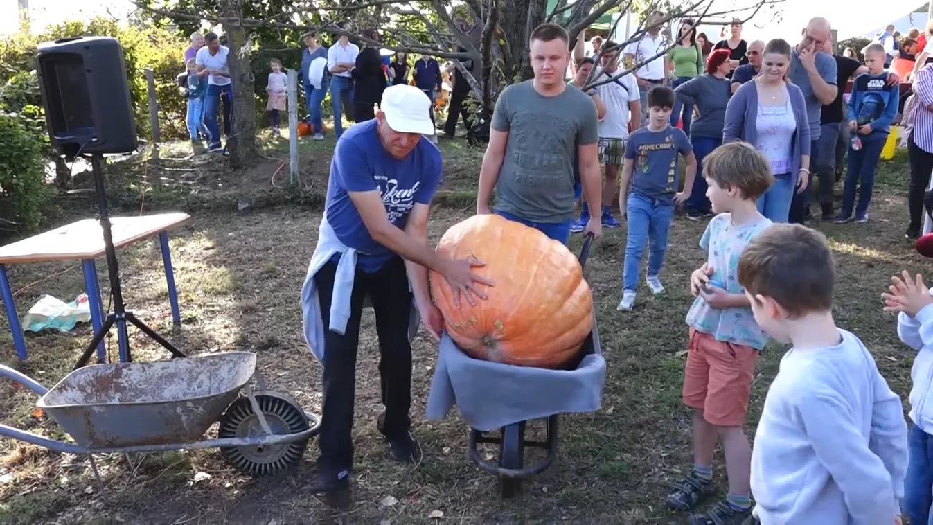 Radar – A legnagyobb tök