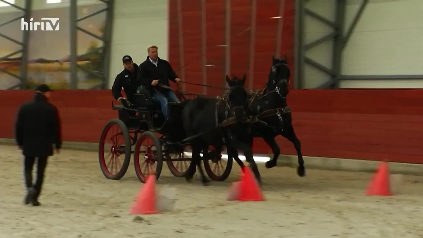 Soroló: A magyar fogathajtás és alapkövei