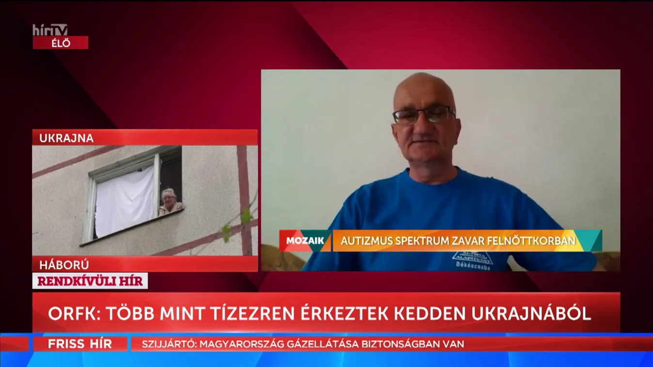 Mozaik: Autizmus spektrum zavar felnőttkorban