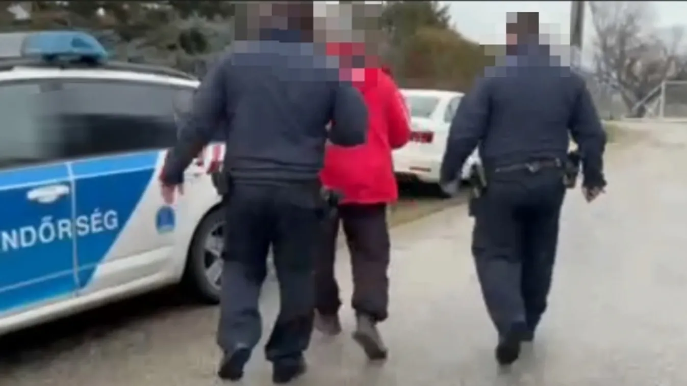 Állatkínzás: macskagyilkost fogtak a rendőrök