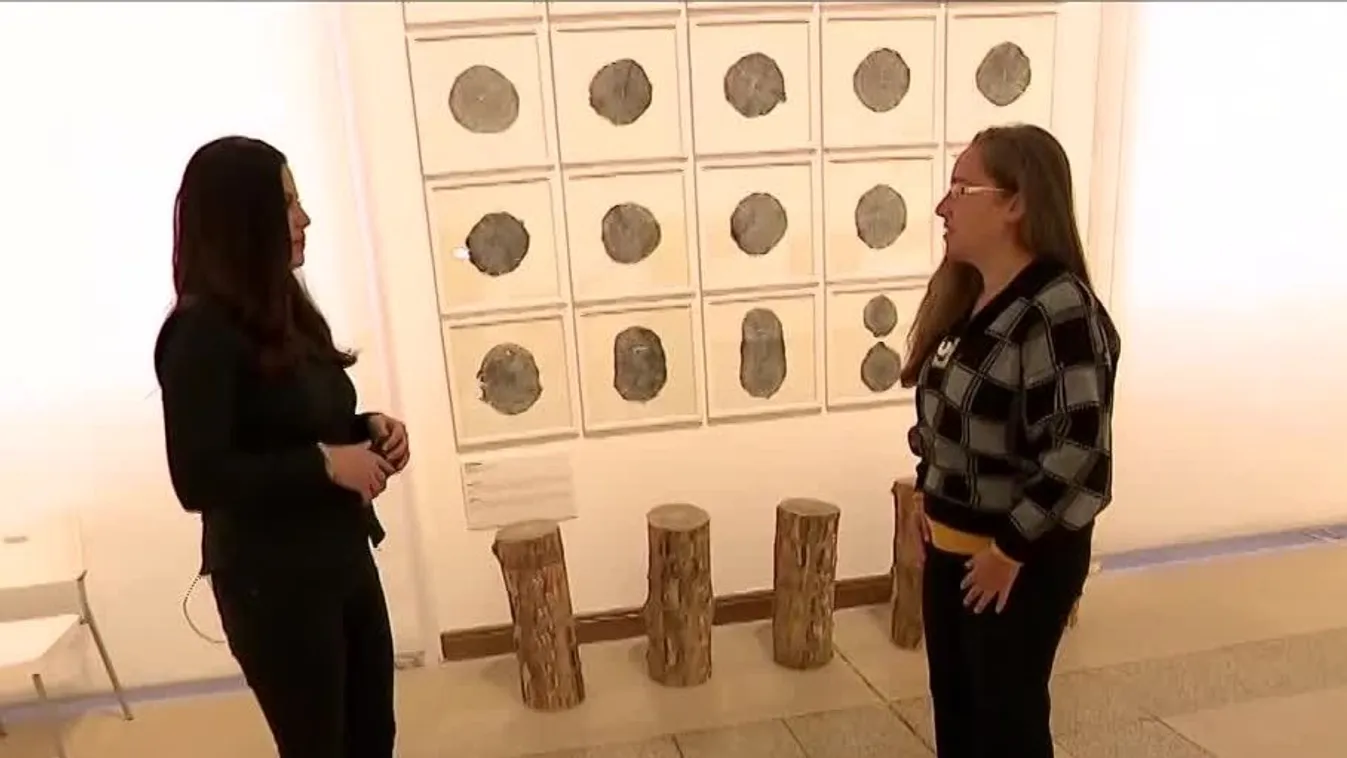 Mozaik - Díjazott grafikusok kiállítása látható a Műcsarnokban