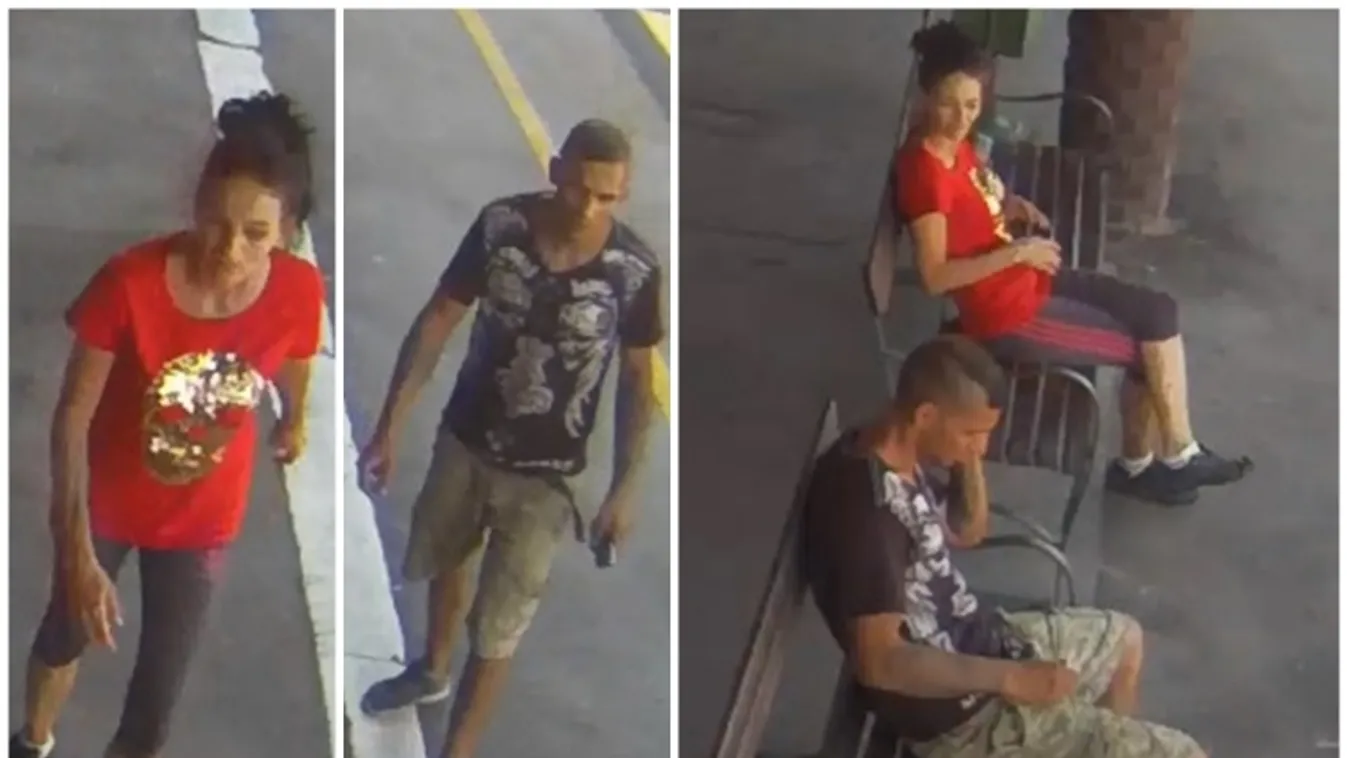 Elkövetőket keresünk