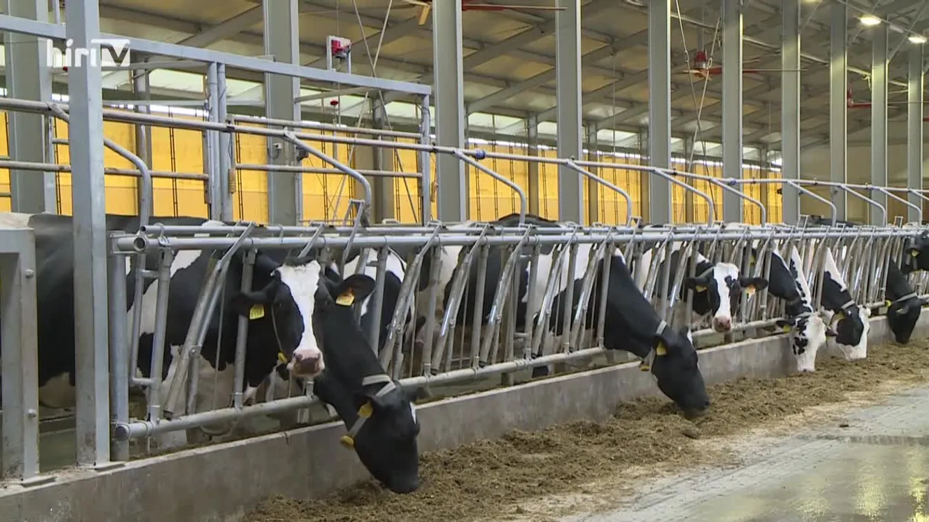 Zöldövezet: Okos és zöld gazdaság