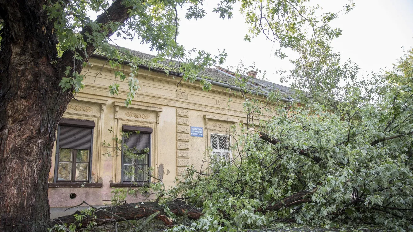 Fákat csavart ki a vihar Borsod és Nógrád megyében