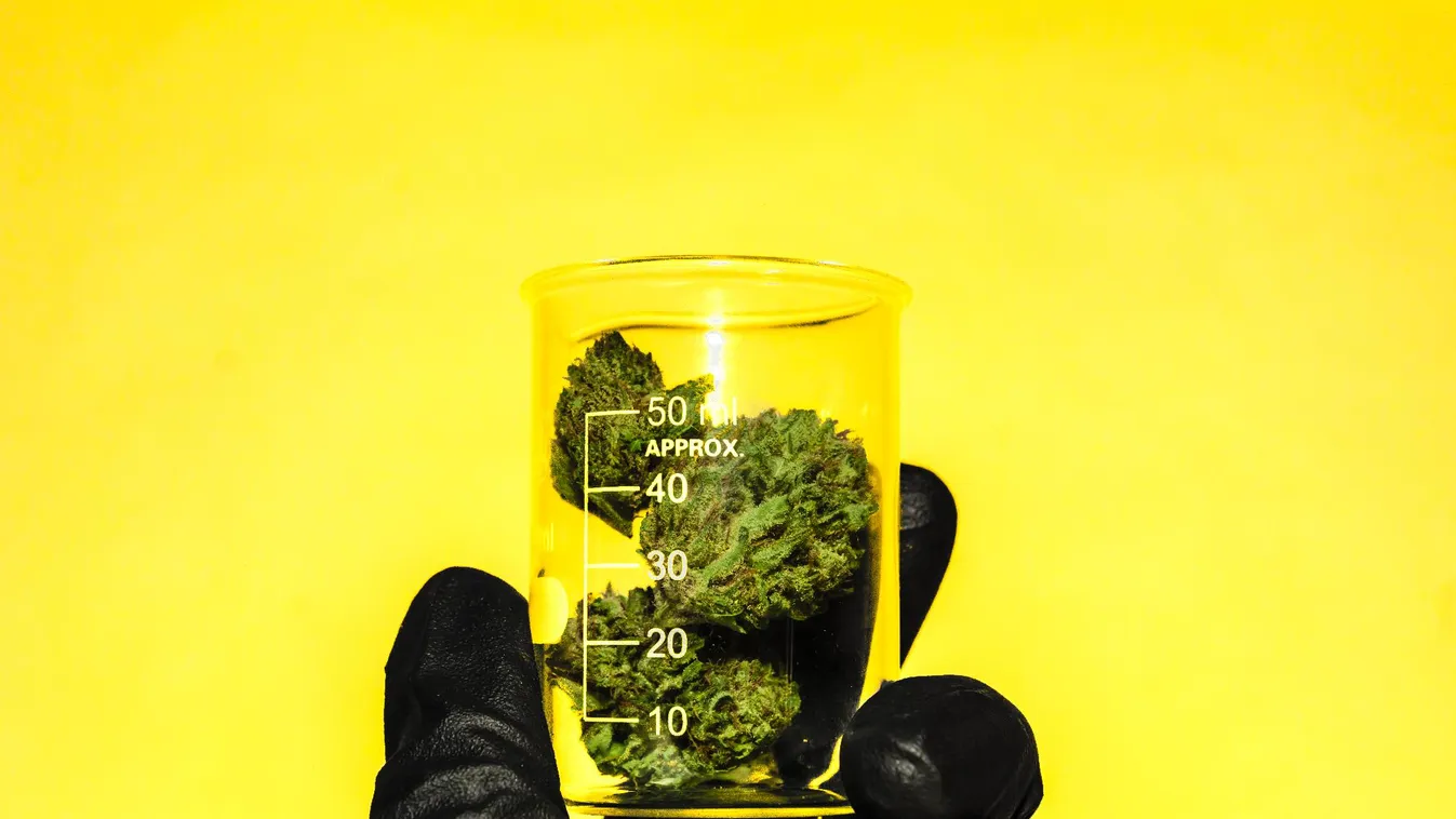 A droglegalizáció az egész társadalmat veszélyezteti