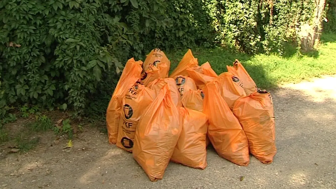 Gondokat lát az LMP a szemétszedés terén