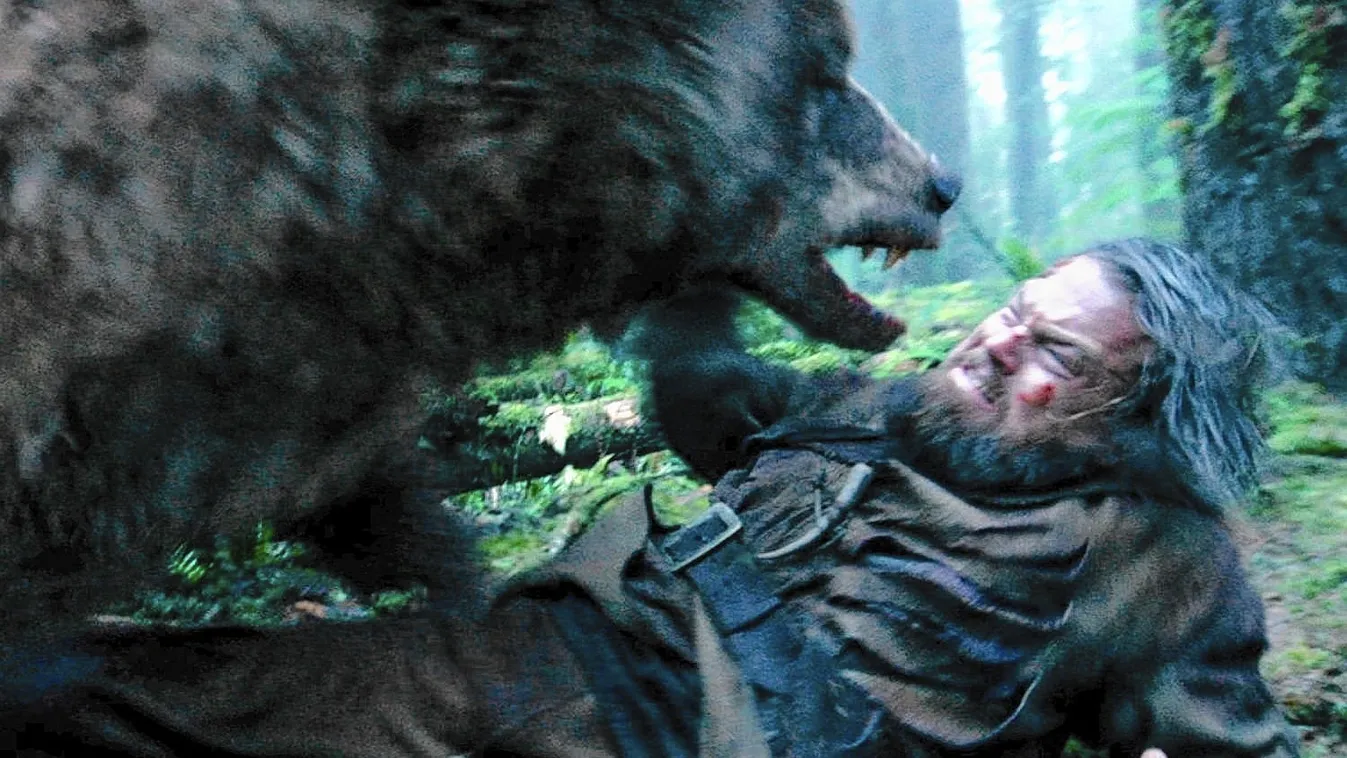 Medvetámadás Szlovákiában