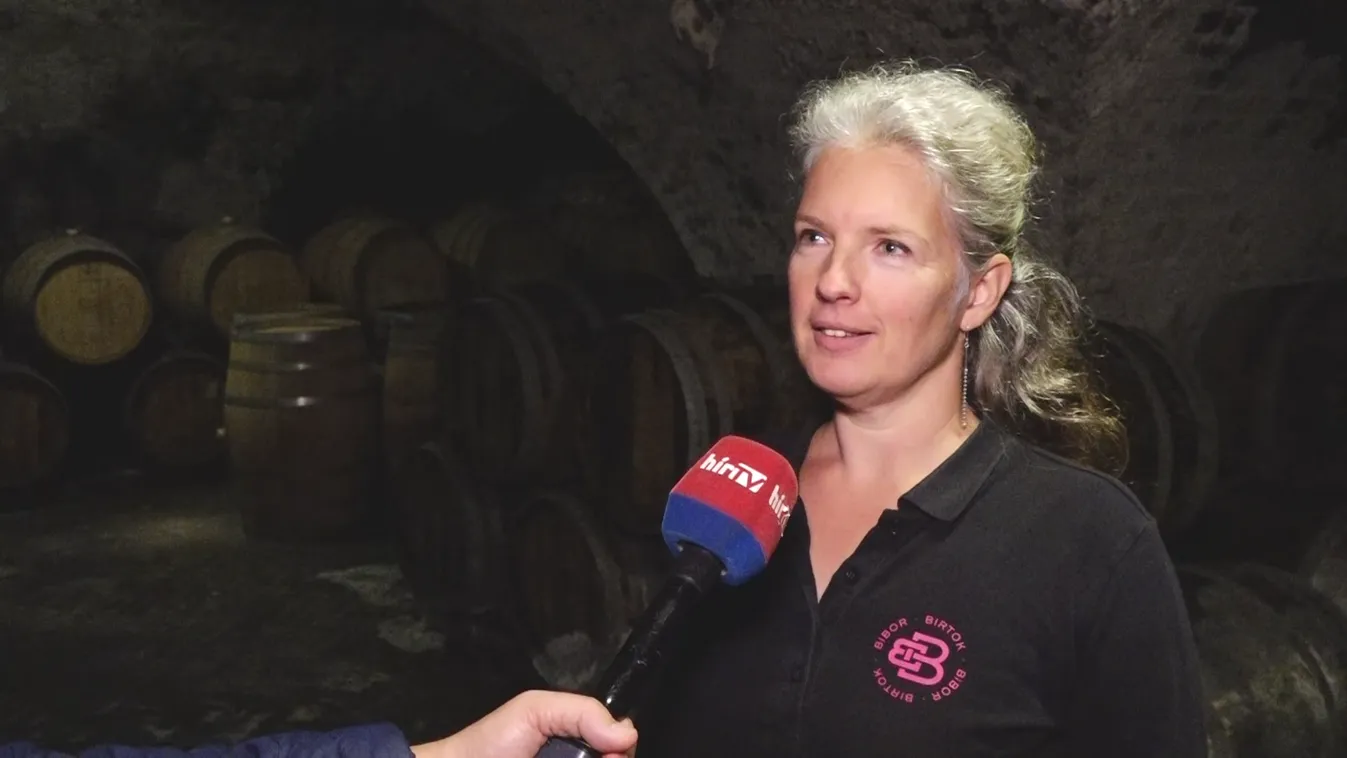 Kormányzati támogatást kaphatnak a borászok