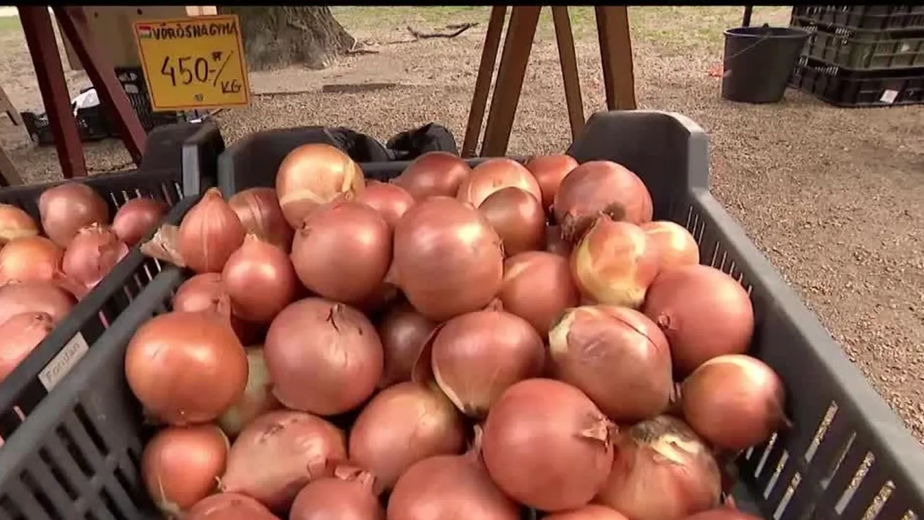Hiánycikk lehet a hagyma