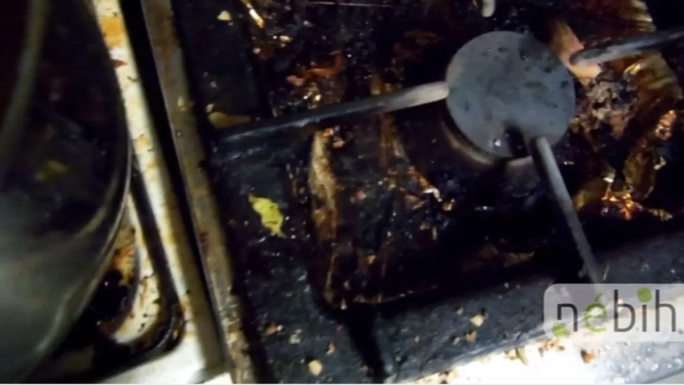 Elképesztő állapotok egy budapesti konyhán – lecsapott a Nébih