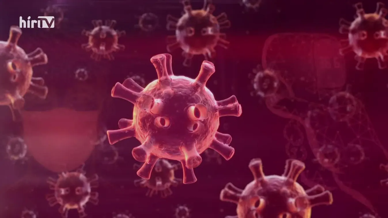 Covid percek (2021-01-22)