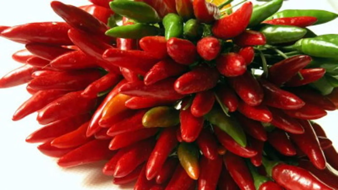 Erős – Felfedező